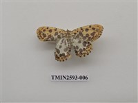 藏品(尺蛾106)的圖片